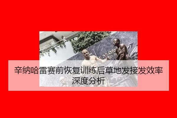 辛纳哈雷赛前恢复训练后草地发接发效率深度分析
